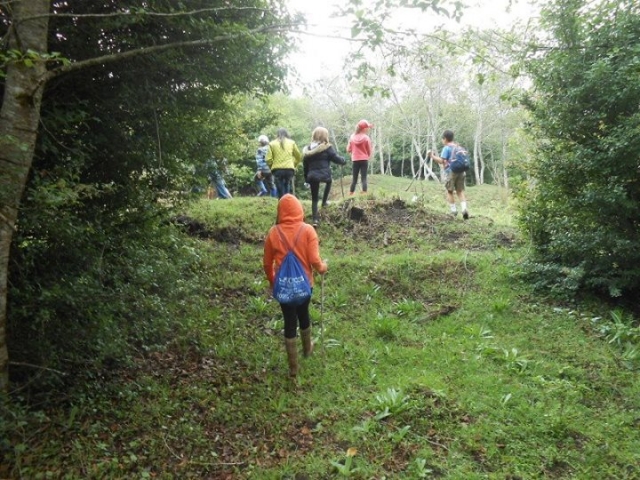 observacion de flora y fauna